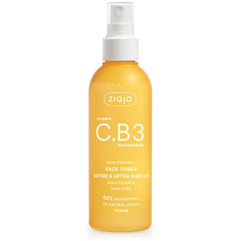 Vitamin C.B3