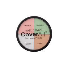 CoverAll Concealer