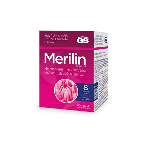 GS Merilin