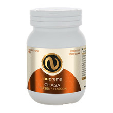 Chaga biomasa