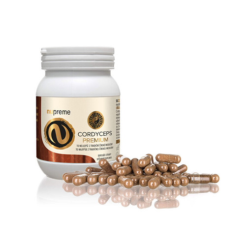 Cordyceps extract