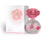 Layaan EDP