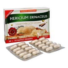 Hericium erinaceus