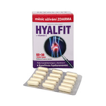 Hyalfit 60