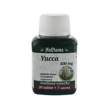 Yucca 500