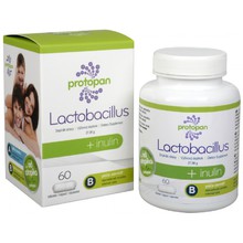 Protopan® Lactobacillus